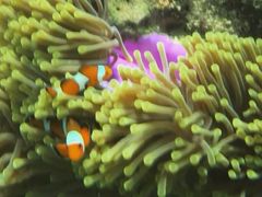 -班拉雅潜水度假村