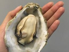 -蚝美人·生蚝海鲜烧烤(茶花园店)