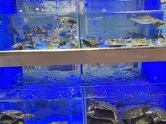 -王捌小院(红花坡店)
