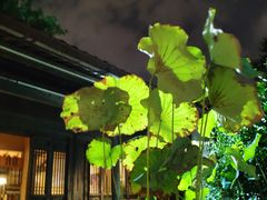 -院子餐厅·大锅菜·老杭帮(桥西直街店)