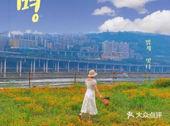 重庆打卡地｜藏在市区中的一处波斯菊花海