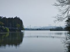 -东湖落雁景区