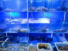 水产区-金龙·打边炉(武进路店)