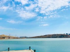 -蒲河岛湿地公园