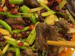 -高坎一品甲鱼庄(两河店)