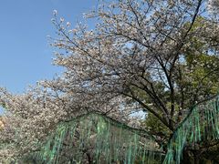 -堤角公园
