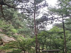 -无染寺