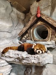 -Zoolung Zoolung动物主题公园(海信广场店)