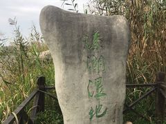 -溱湖国家湿地公园
