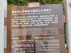 -铁山坪森林公园