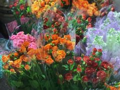 -循礼门鲜花花市(武汉循礼门店)