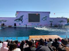 -北戴河圣蓝海洋公园