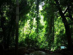 -大连植物园