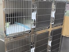 -中农大我爱我爱24h动物医院·中医针灸·猫专科·骨科医疗中心(双井店)