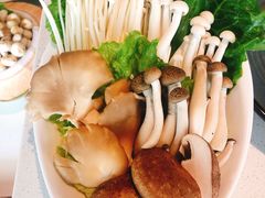 -百年果林椰子鸡(中洲店)
