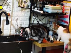 -平行世界·猫咖(首经贸店)