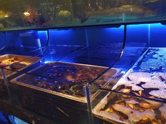 水产区-喜庭海鲜自助(来福士店)