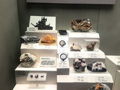 -天津自然博物馆