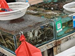 -何庄子阿米玛玛农产品批发市场