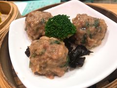 -一笼小幸运