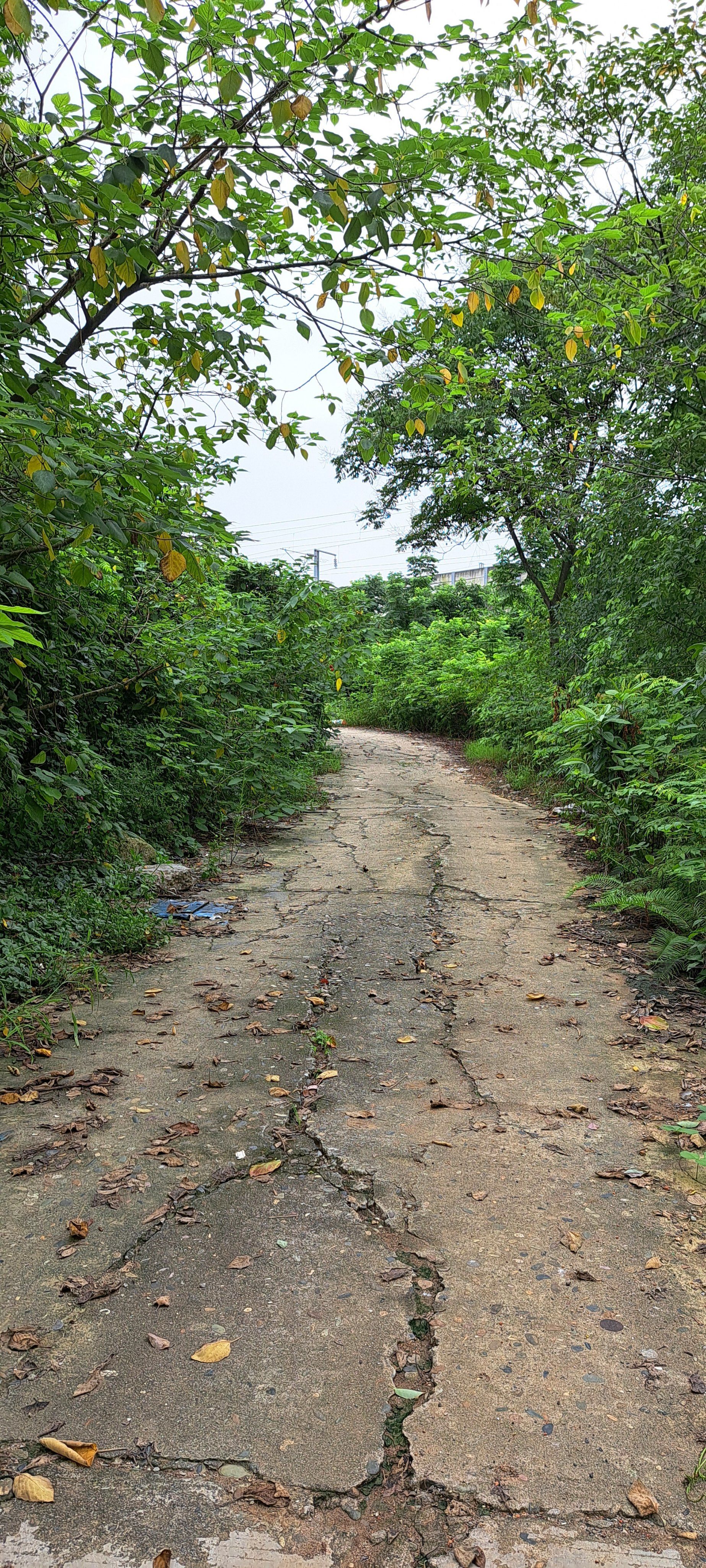 曲径通幽的山间路