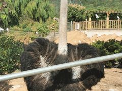 -无锡动物园·太湖欢乐园