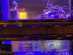 -协成海鲜火锅(情侣路店)