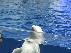 -福州罗源湾海洋世界旅游区