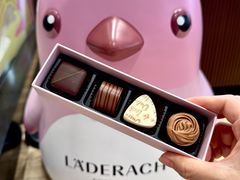 -Laderach 莱德拉(上海环贸iapm店)