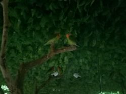 -酷嗒动物文化乐园(cutezoo西溪乐天城店)