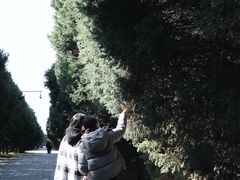 -秦始皇帝陵博物院-丽山园