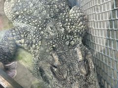 -无锡动物园·太湖欢乐园