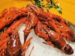 -木守西溪溪隐餐厅