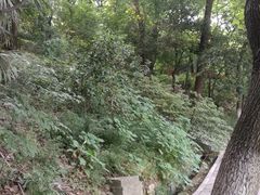 -伯先公园