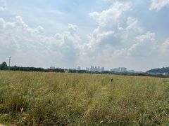 -光明小镇欢乐田园