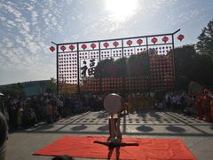 -合肥滨湖国家森林公园