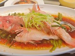 -新南华大酒店(广中店)