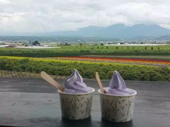 -富田农场