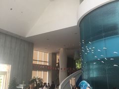 -深圳东部华侨城瀑布酒店