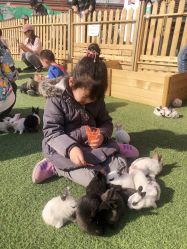 -萌宠亲子动物乐园(槐房万达店)