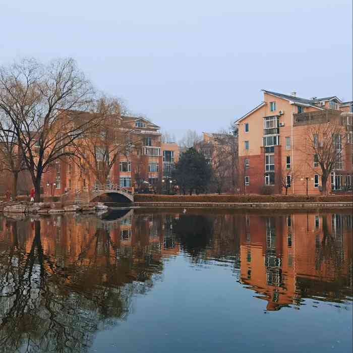 东方太阳城琴湖园-"去琴湖园吃饭,被这里秋日的风景吸引了.路.
