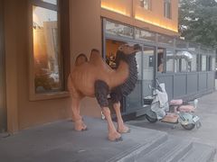 -巴尔喀十新疆餐厅(开发区店)