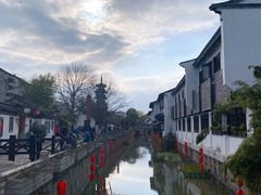 -普洱茶府(博乐广场店)