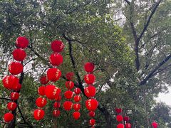 -荔湾湖公园