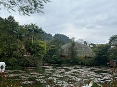 -野象谷景区