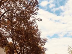 -中国湿地博物馆