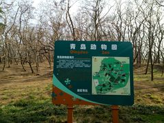 -青岛动物园