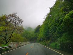 -秦岭风景区