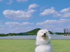 -上海月湖雕塑公园