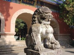 -灵谷景区